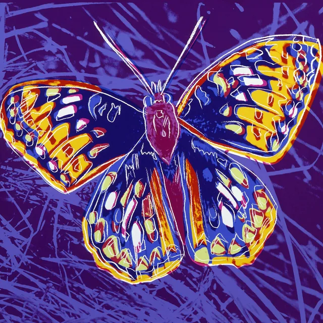 Kelebek - Butterfly
