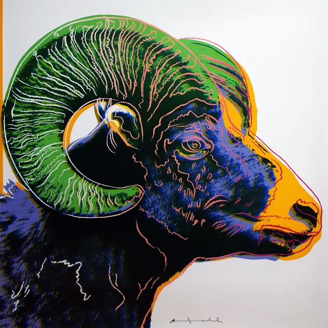 Koç - Ram