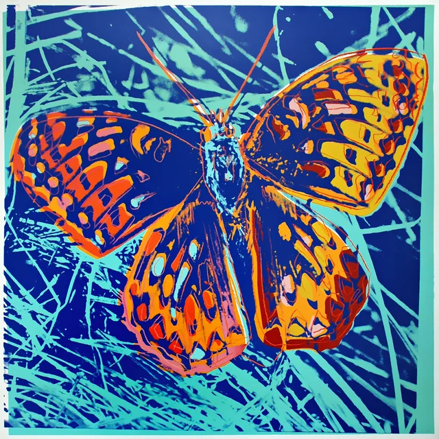 Gümüş Benekli Kelebek - Silverspot Butterfly