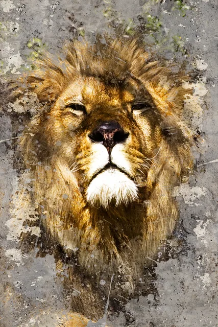 Aslan