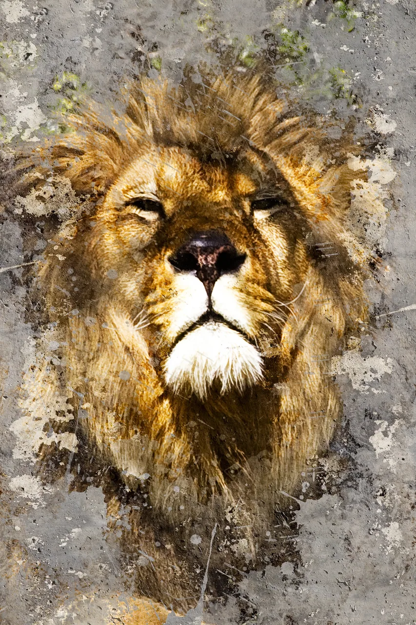 Aslan kanvas tablo