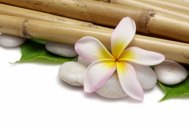 Bambu