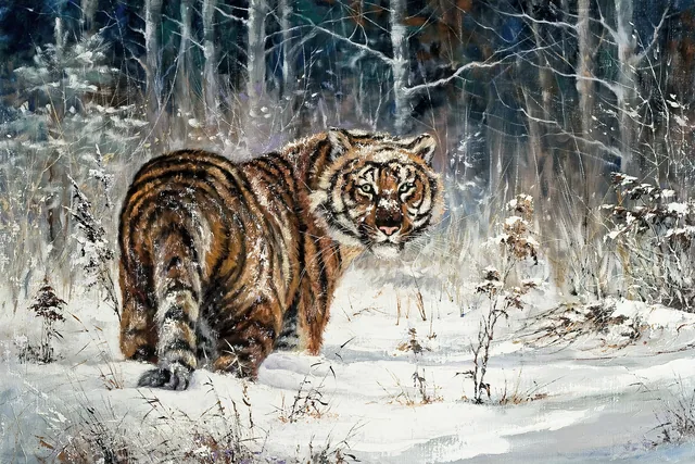 Bengal Kaplanı