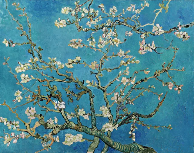 Badem Çiçekleri - Blossoming Almond Tree