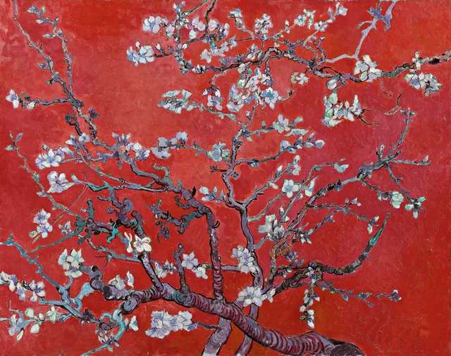 Badem Çiçekleri - Almond Blossoms