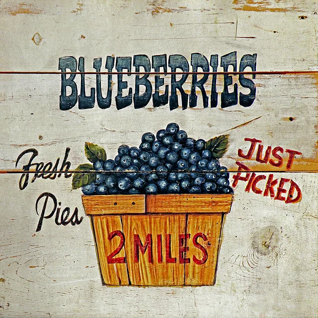 Blueberries