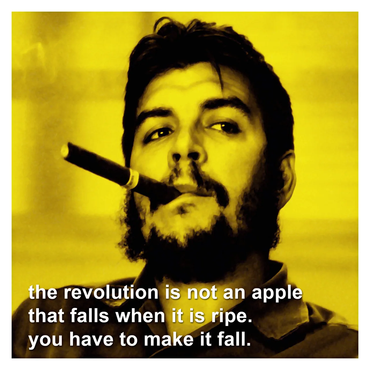 Che Guevara kanvas tablo