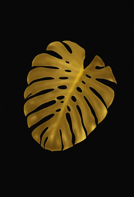 Monstera