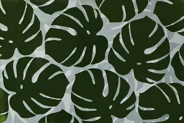 Monstera