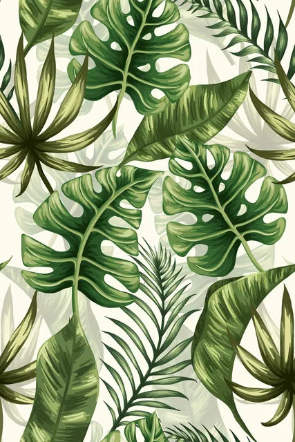 Monstera
