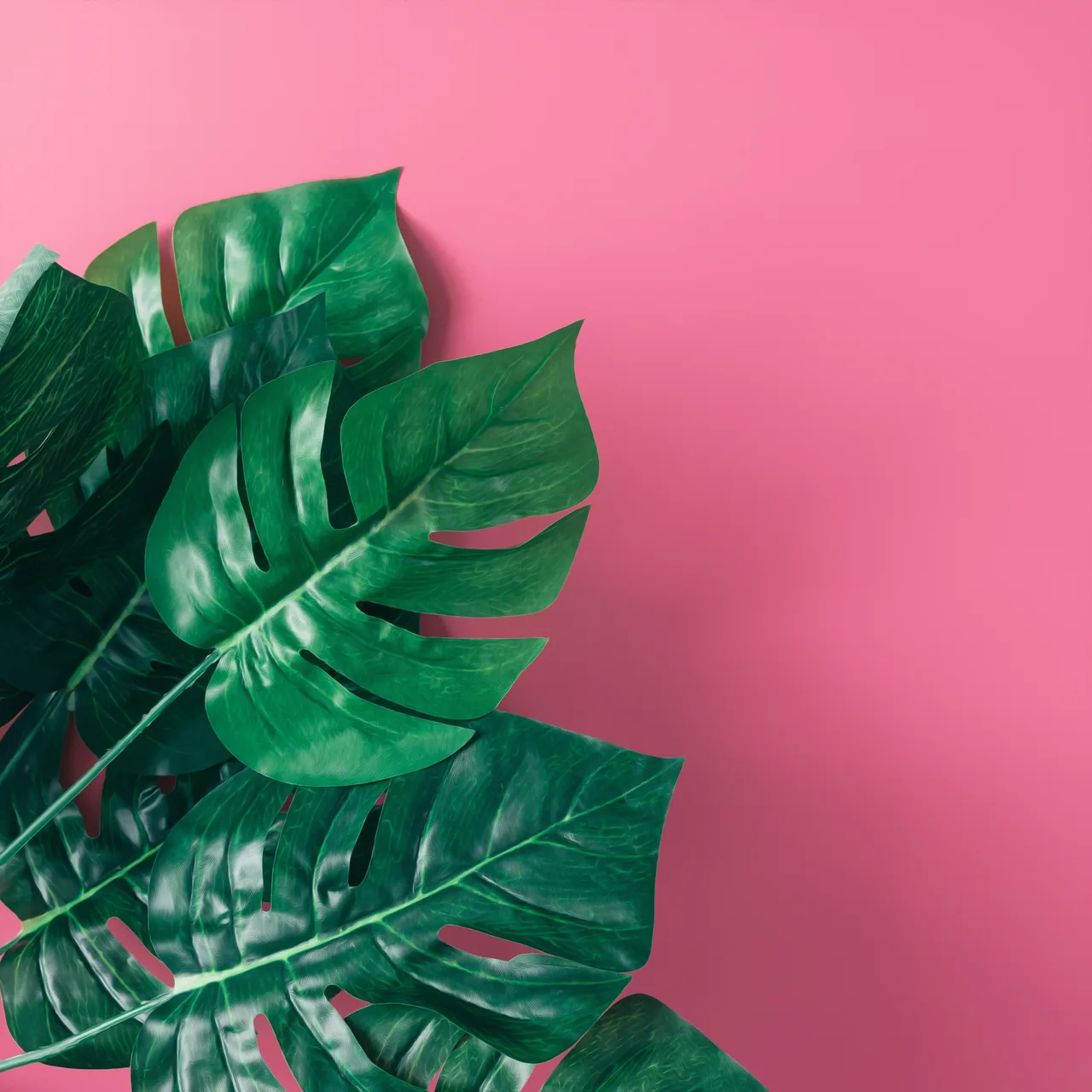 Monstera Yaprakları kanvas tablo