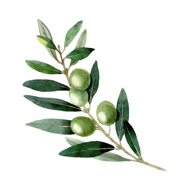 Zeytin