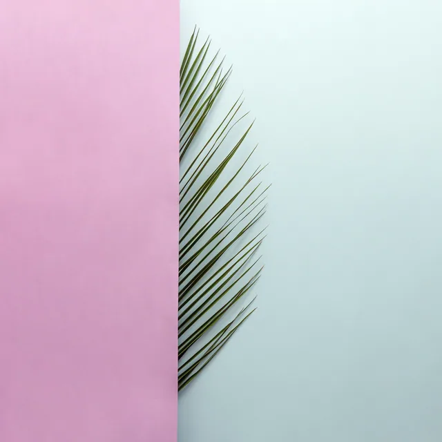 Pembe Fonlu Palmiye Yaprağı