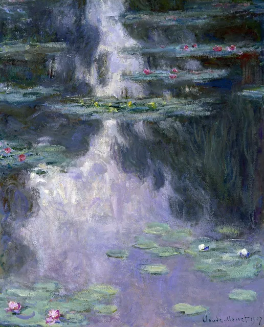 Nilüferler - Water Lilies