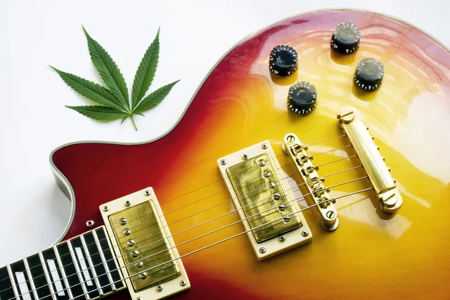 Elektro Gitar