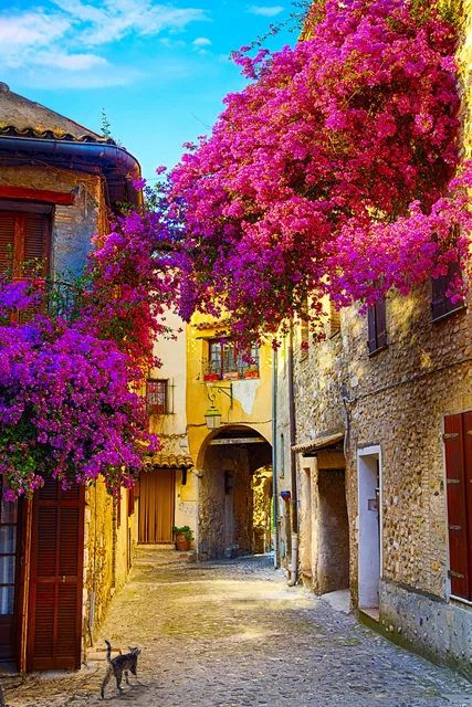 Erguvan ve Provence Sokakları