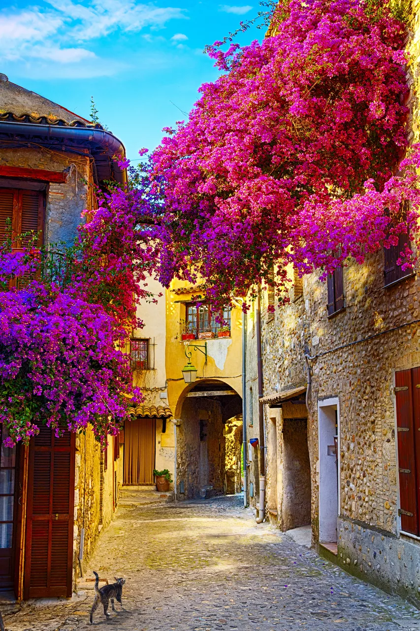 Erguvan ve Provence Sokakları kanvas tablo