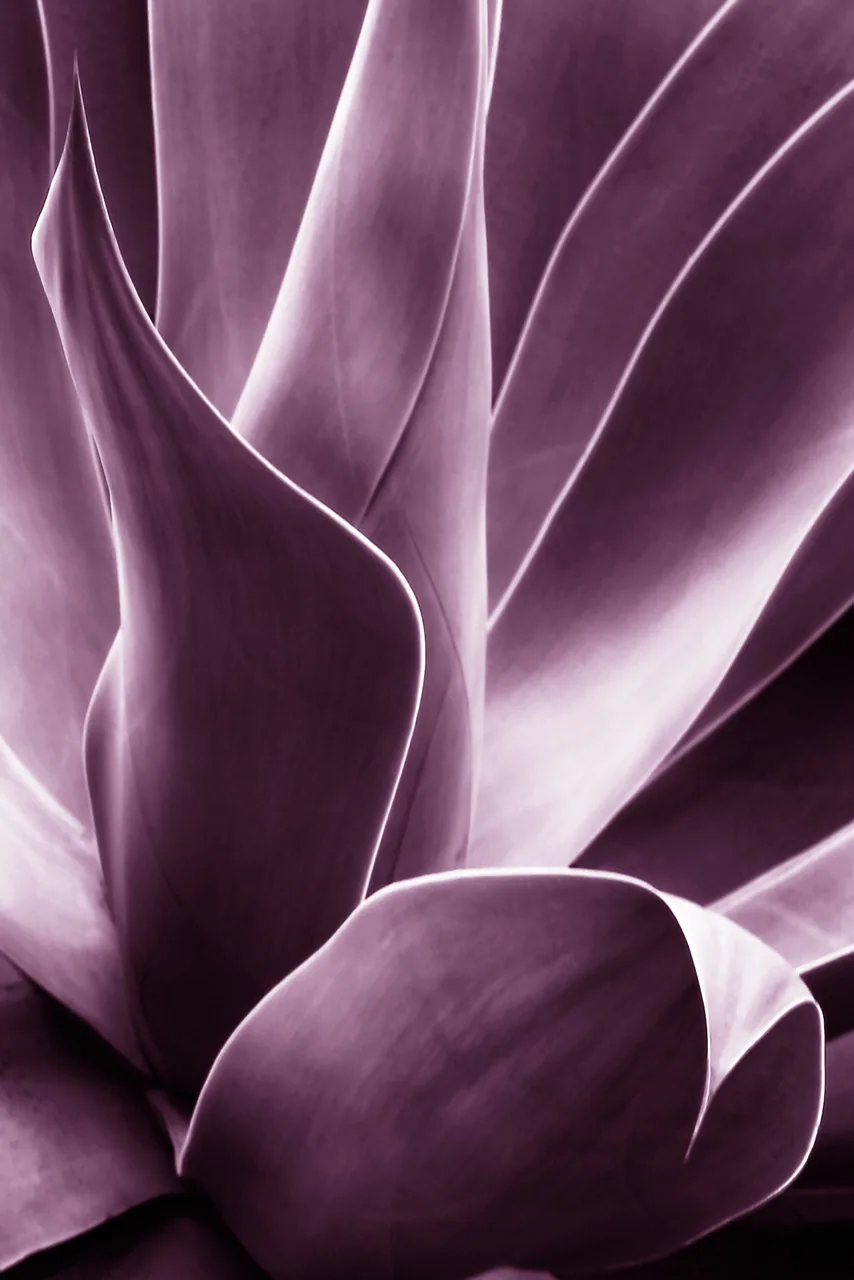 Flora kanvas tablo