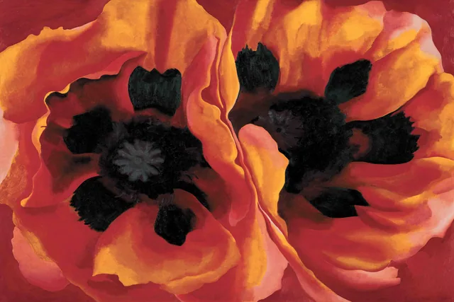 Doğu Gelincikleri - Oriental Poppies