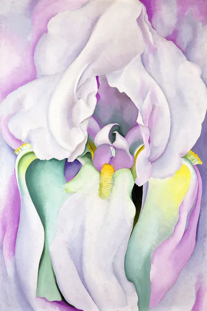 Beyaz İris - White Iris