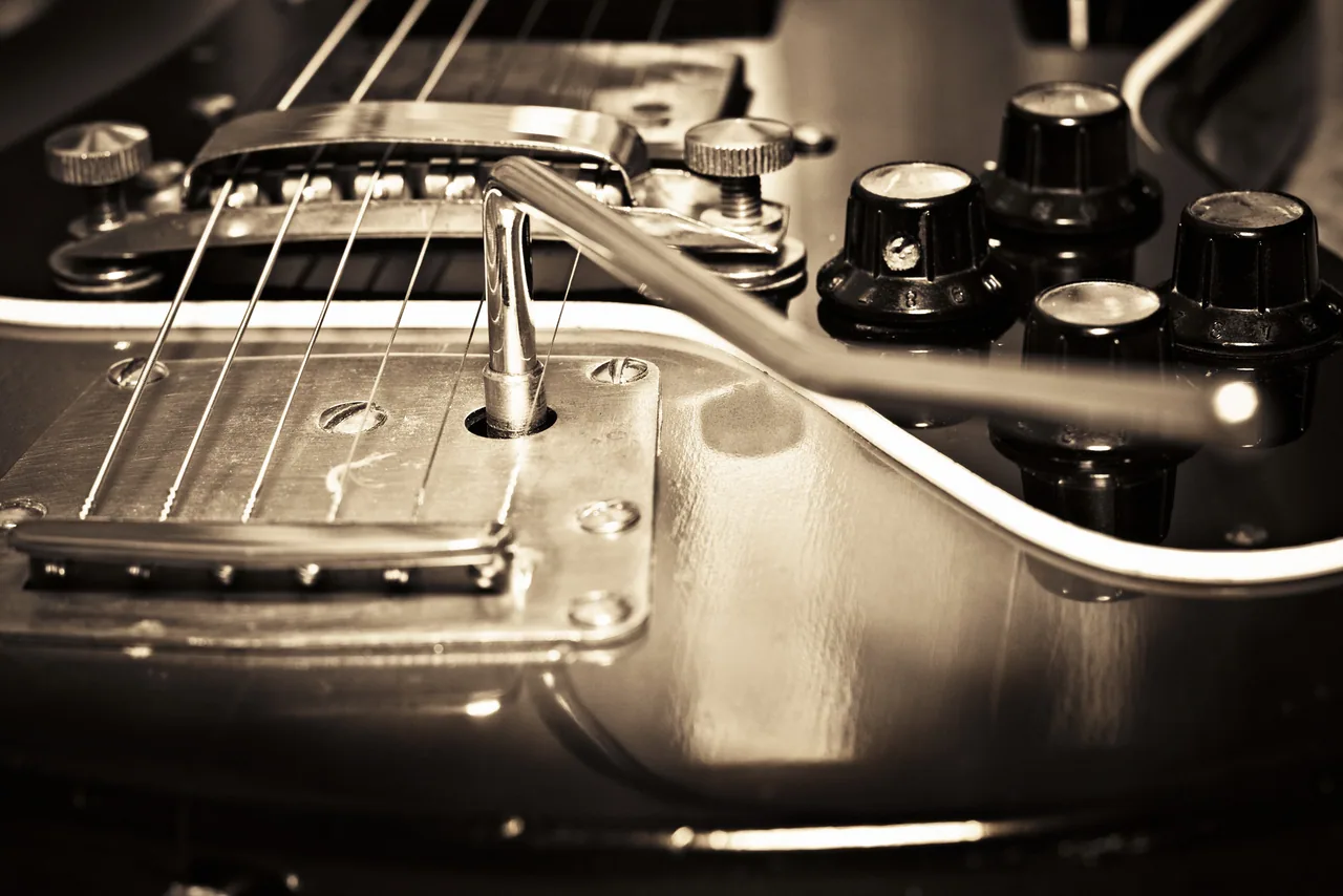 Yakın Plan Gitar kanvas tablo