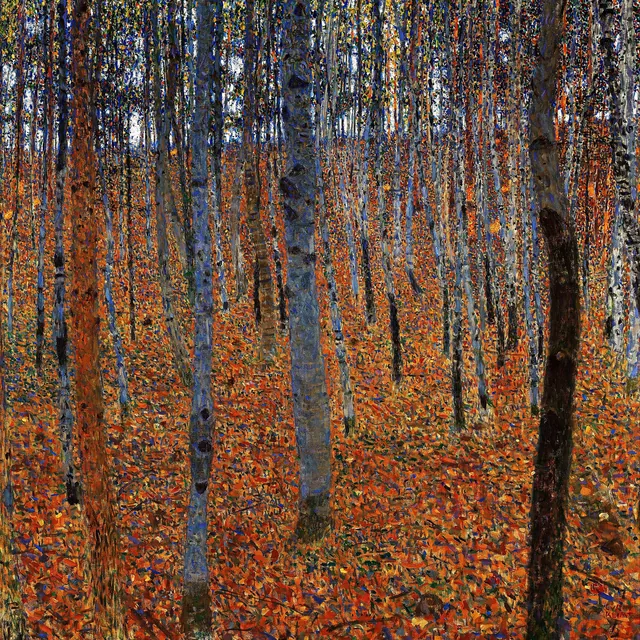 Kayın Ormanı - Beech Grove