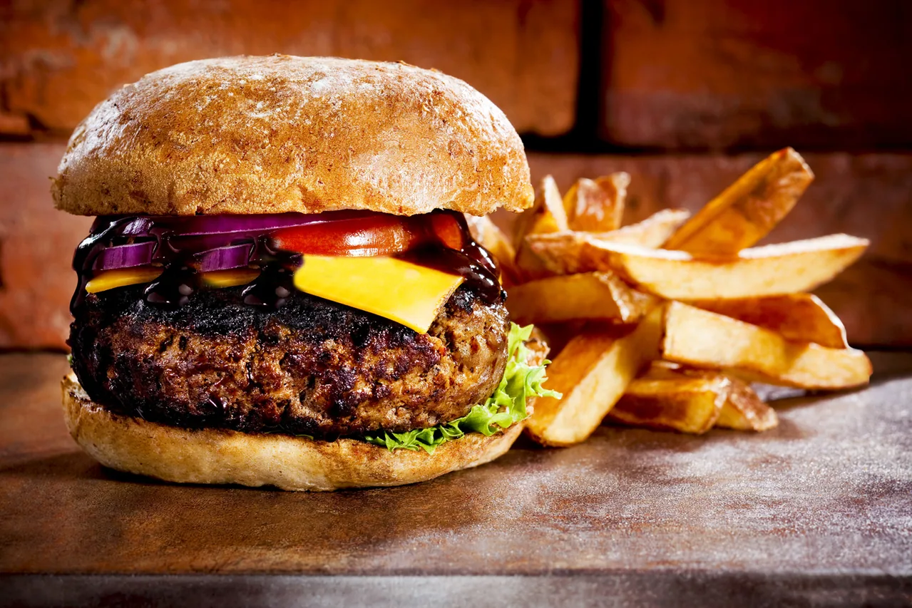 Hamburger kanvas tablo