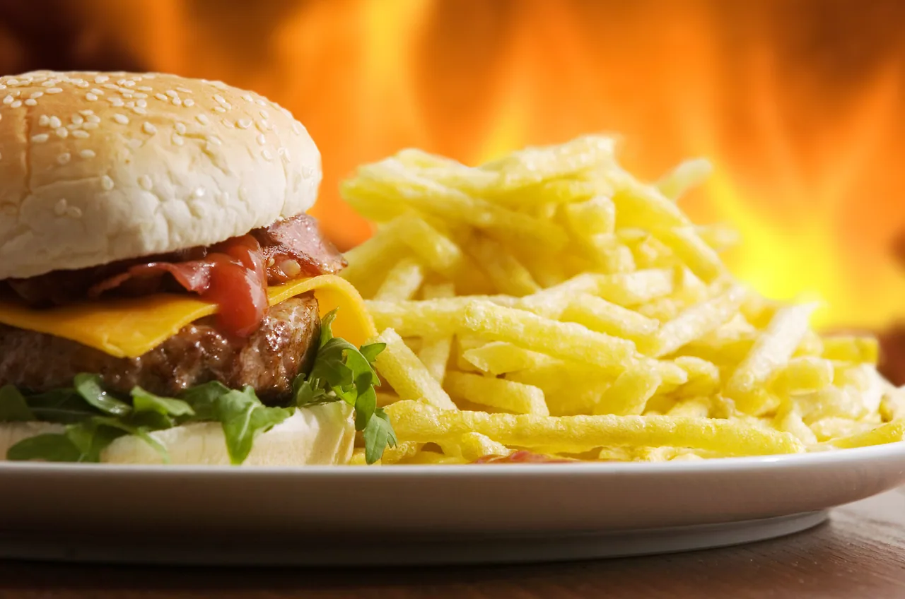 Hamburger ve Patates kanvas tablo