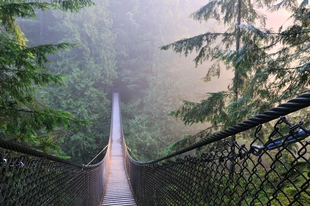 Kanada Lynn Canyon Park