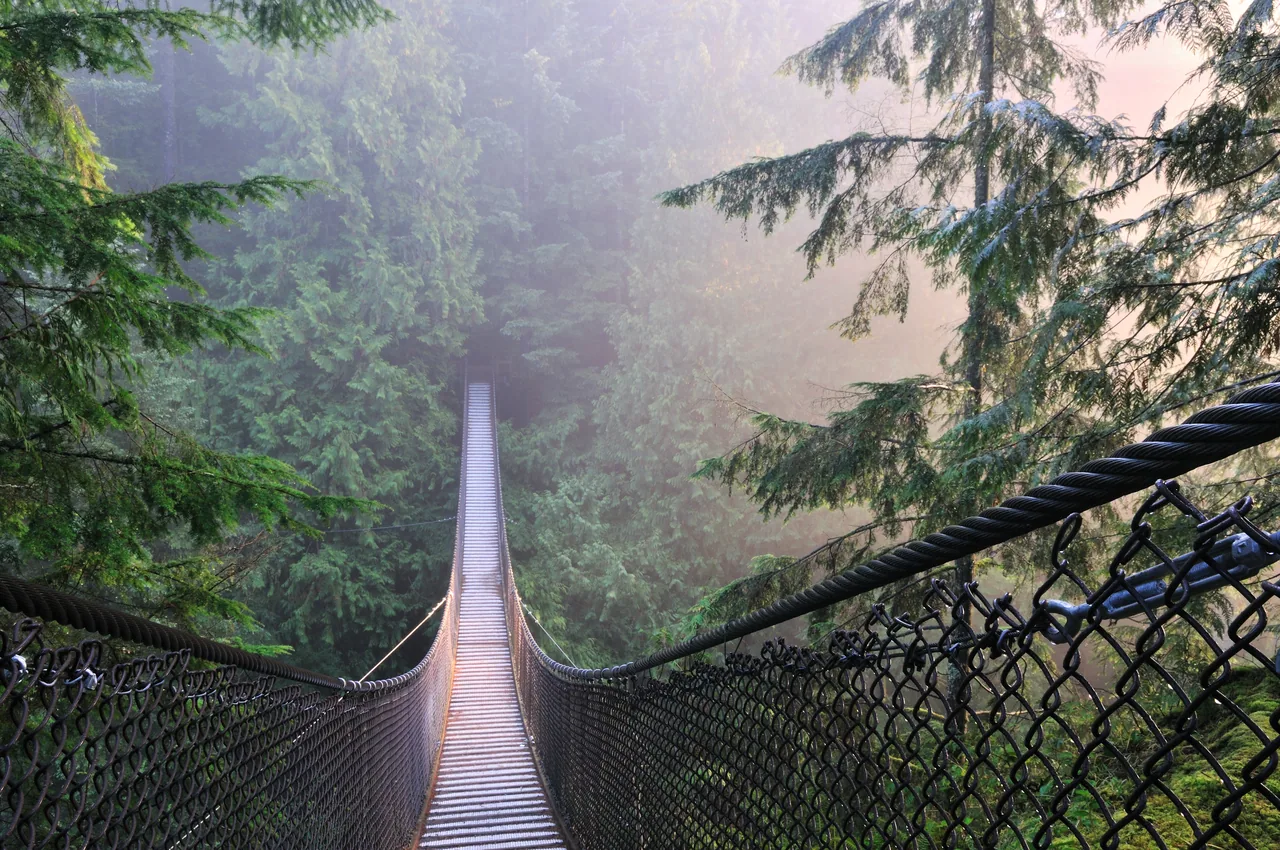 Kanada Lynn Canyon Park kanvas tablo