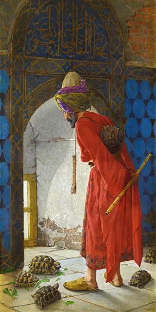 Kaplumbağa Terbiyecisi