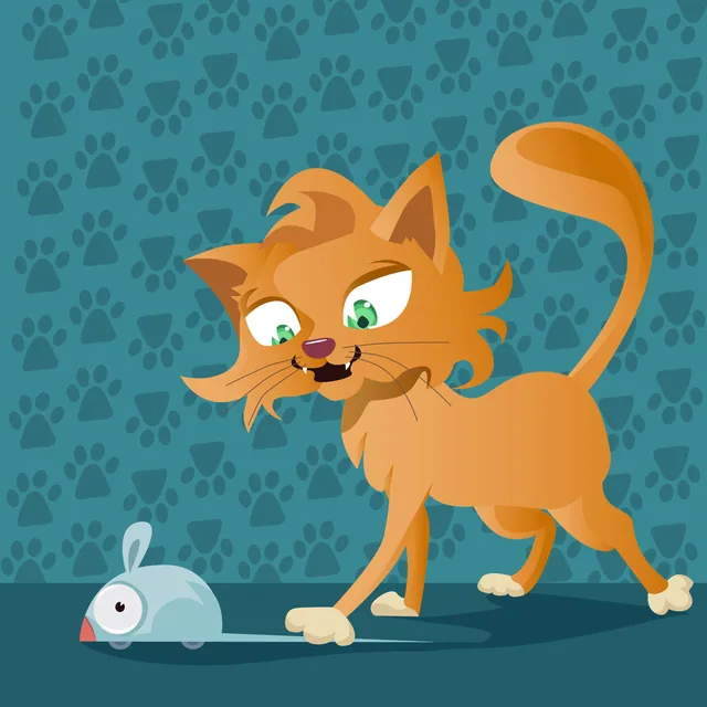 Kedi Fare