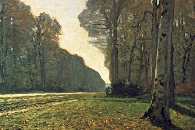 Chailly Yolu - Le Pavé de Chailly