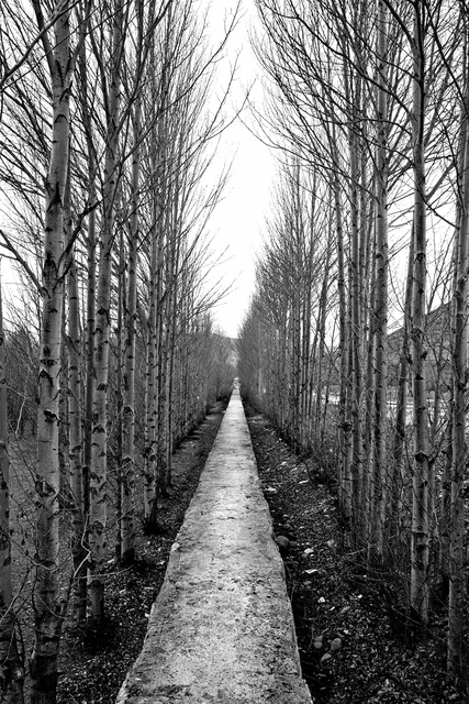 Issız Yol