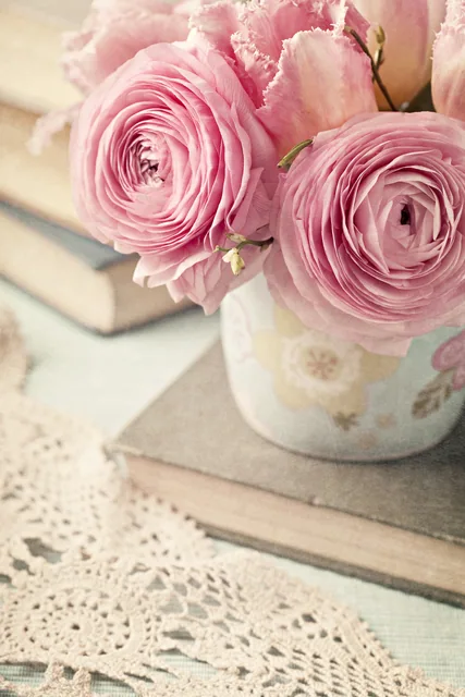Pembe Çiçekler ve Kitap
