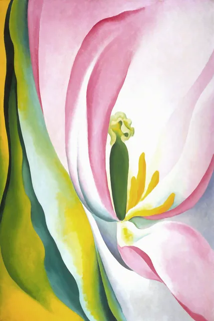 Pembe Lale - Pink Tulip