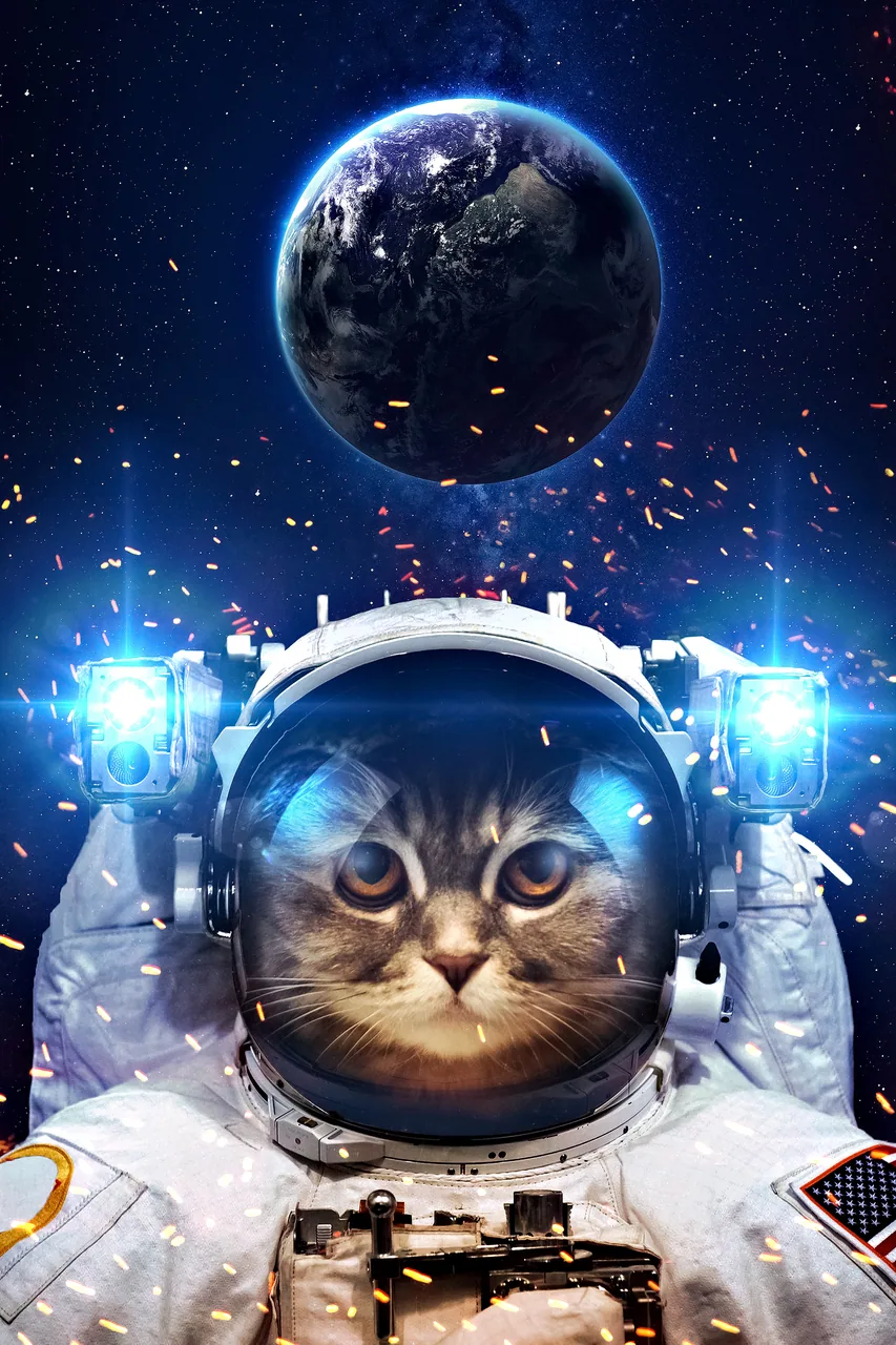 Uzayda Kedi kanvas tablo