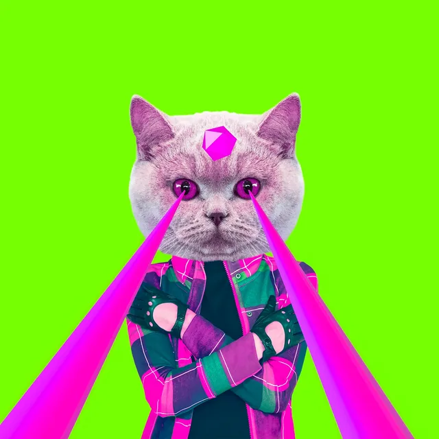 Kedi Gücü