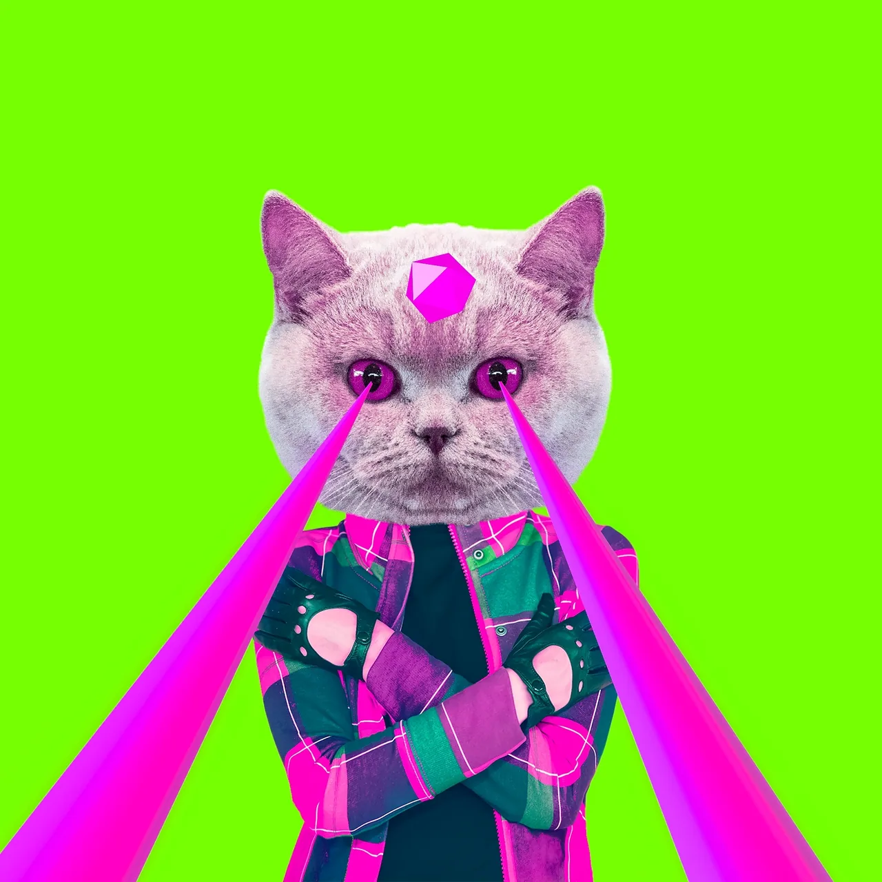 Kedi Gücü kanvas tablo
