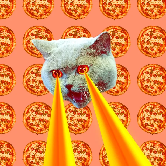 Kedi Gözü