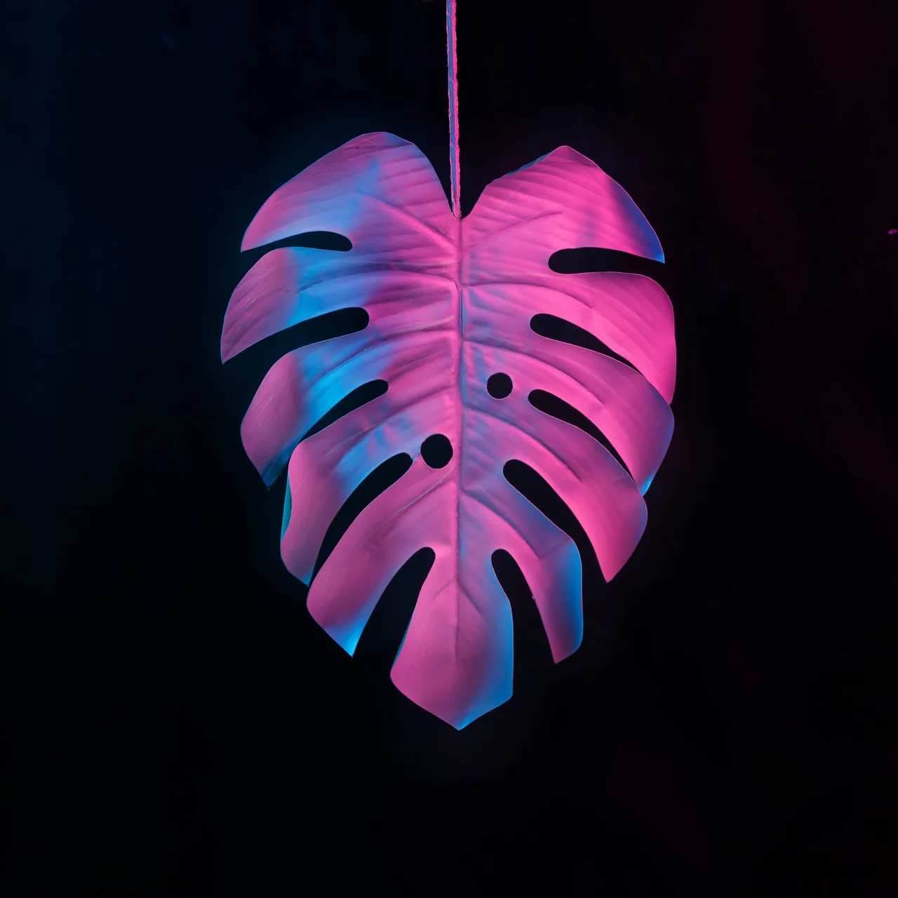 Neon Monstera kanvas tablo