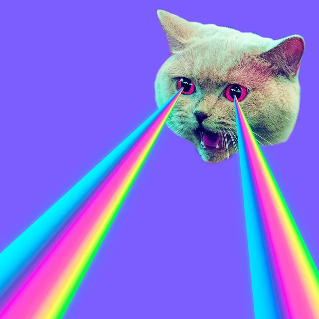 Gökkuşağı Kedi Gözü