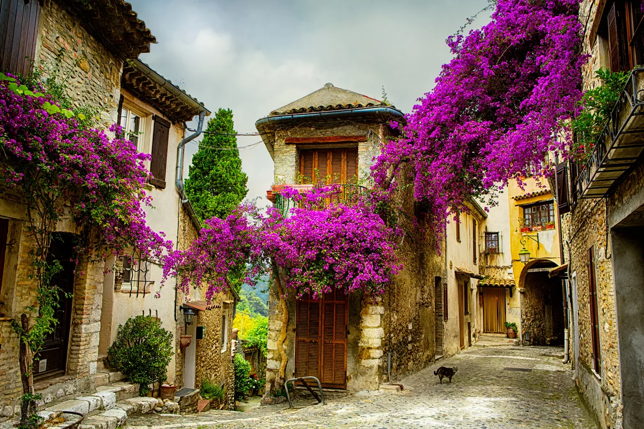 Provence kanvas tablo