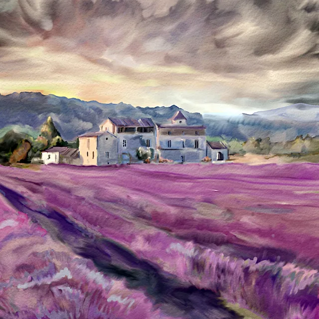 Provence - Lavanta Tarlası