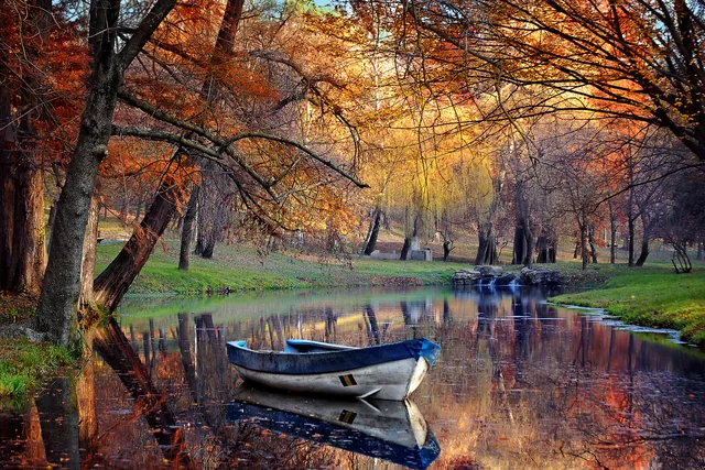 Sonbahar Renkleri