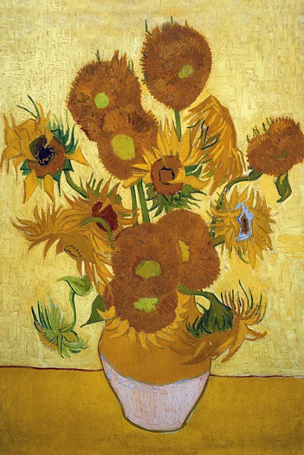 Ayçiçekleri - Sunflowers