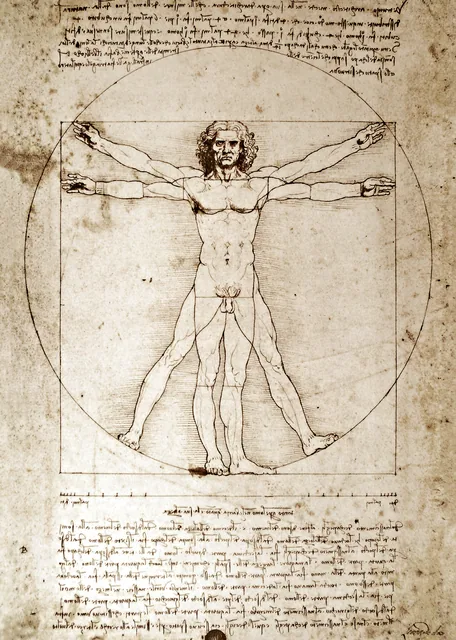 Vitruvius Adamı - The Vitruvian Man