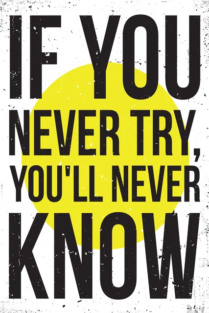 Never Try Never Know