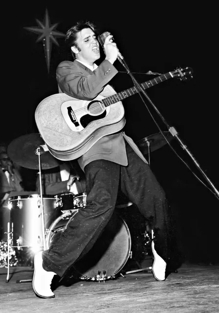 Elvis Presley Miami Konseri