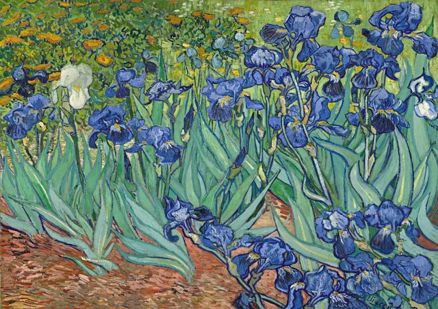 Süsenler - Irises